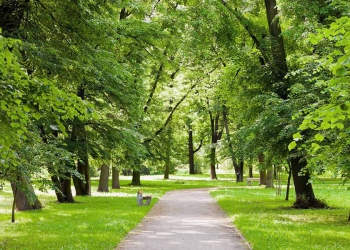 Khốn khổ vì tình trạng thiếu cây xanh ở Thành Phố Hồ Chí Minh