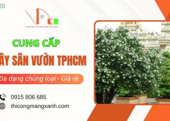 Cung cấp cây sân vườn TPHCM đa dạng chủng loại, giá tốt, giao hàng tận nơi