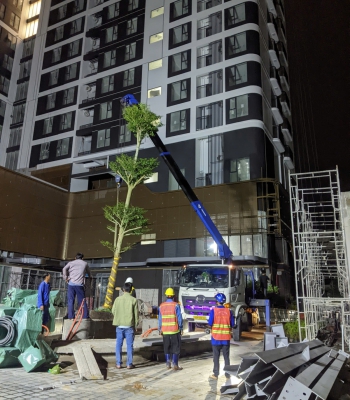 THI CÔNG EMERALD 68 LÊ PHONG
