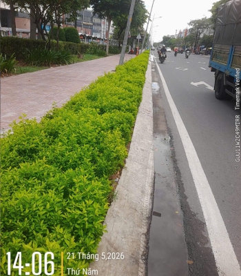 THI CÔNG TUYẾN ĐƯỜNG BÌNH TRỊ ĐÔNG