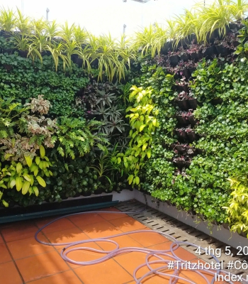 THI CÔNG VÀ BẢO DƯỠNG T-RITZ HOTEL