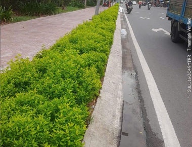 THI CÔNG TUYẾN ĐƯỜNG BÌNH TRỊ ĐÔNG
