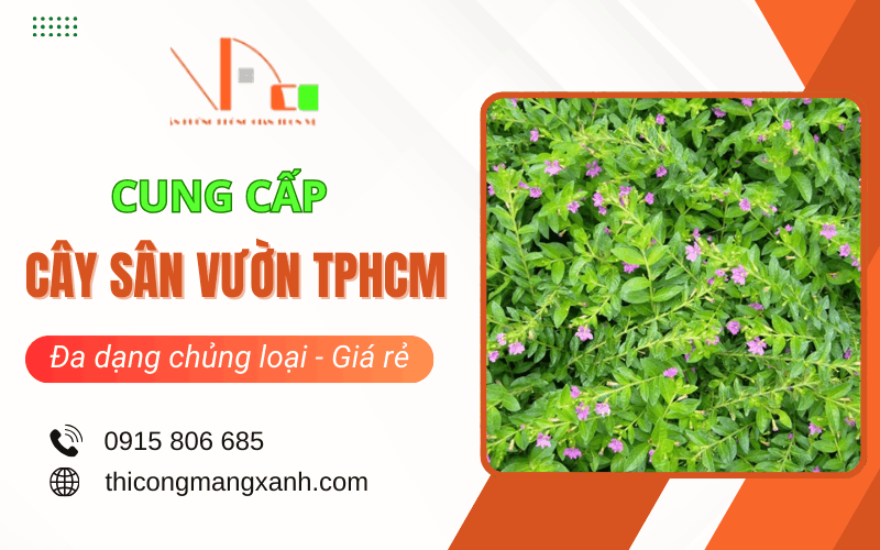 cây sân vườn TPHCM