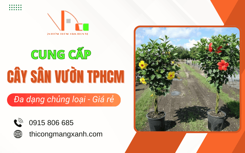 cây sân vườn TPHCM