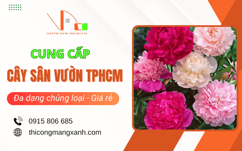 cây sân vườn TPHCM