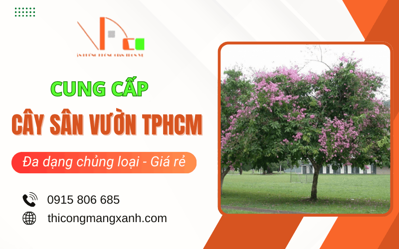 cây sân vườn TPHCM