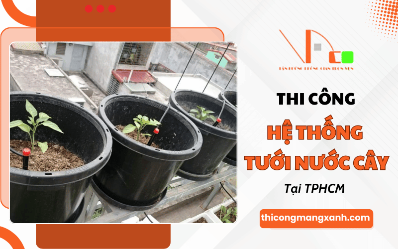 hệ thống tưới cây tự động TPHCM